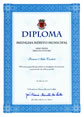 Diploma Medalha de Mérito Mestre Firmino Adão Canhoto