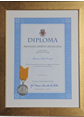 Diploma e Medalha de M&eacute;rito em moldura no Atelier